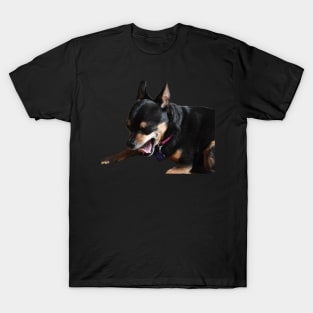 Chihauhau Yawn T-Shirt